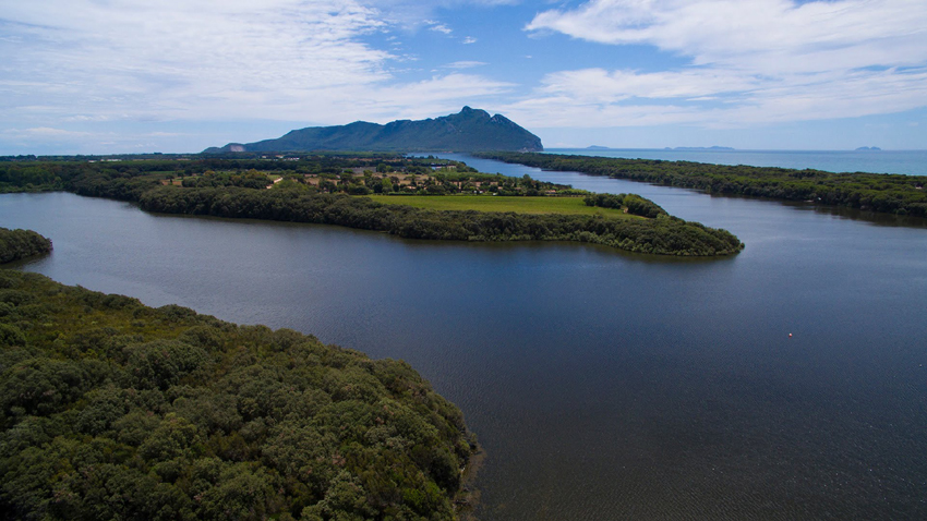 Nome:   lago-di-sabaudia-med.jpg
Visite:  1219
Grandezza:  320.7 KB