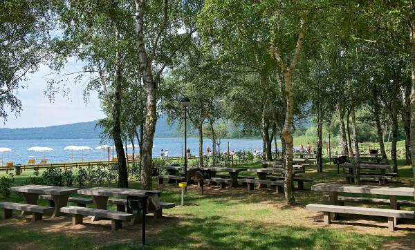 Nome:   albergo_ristorante_la_bella_venere_barbecue.jpg
Visite:  977
Grandezza:  71.9 KB