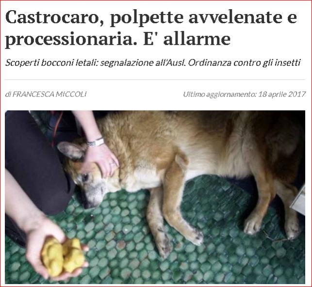 Nome:   antianimal.jpg
Visite:  112
Grandezza:  59.7 KB