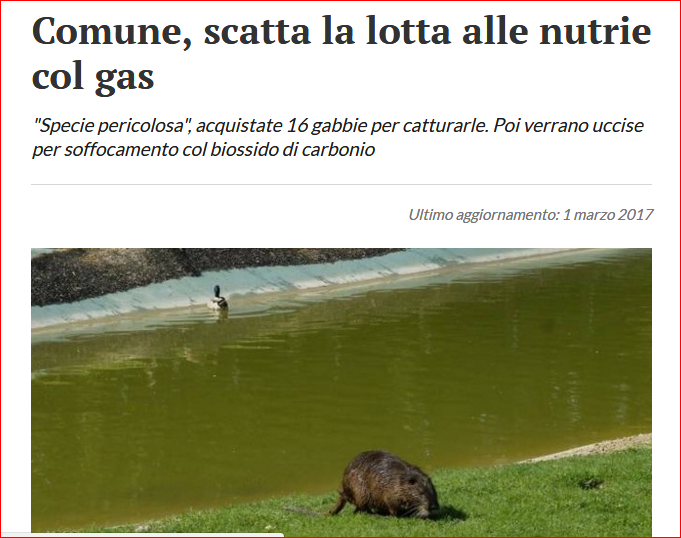 Nome:   nutrie.PNG
Visite:  154
Grandezza:  361.1 KB